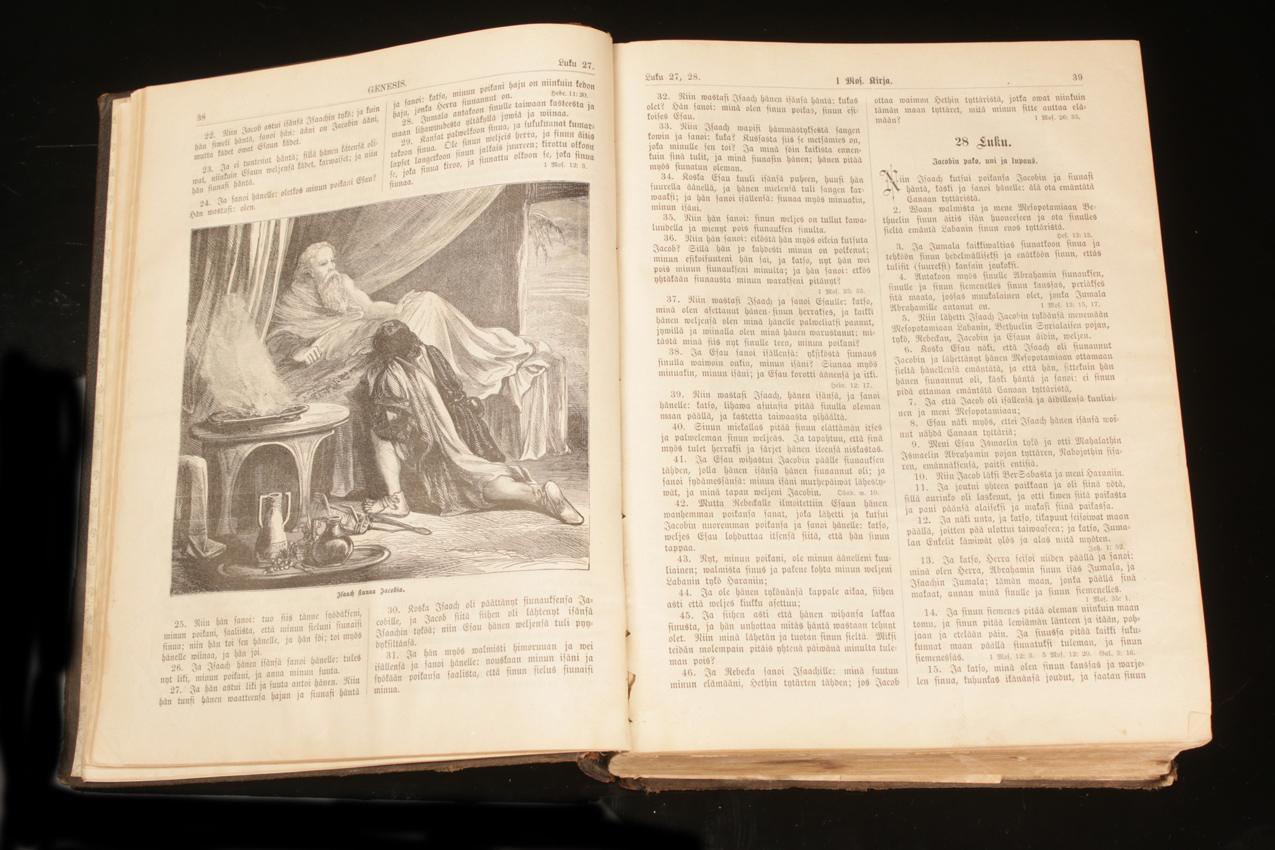 Antiikkinen ”Kodin kuvaraamattu” Biblia Gummerus Jyväskylä 1893 - Image 8