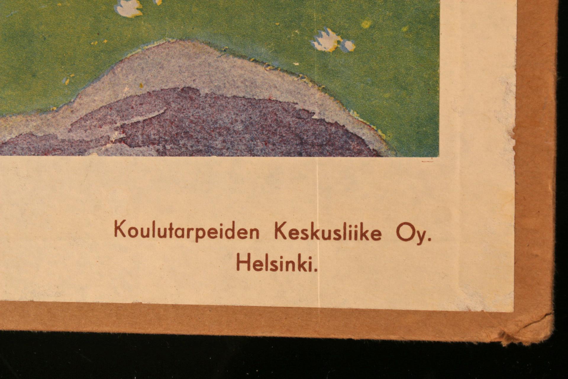 Vintage koulun opetustaulu Aukusti Salo Rudolf Koivu Suomalaisia satukuvia “Pupu-Jussin viisaus” “Jänis loikkaa” - Image 6